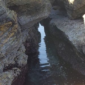 Meet your Posher, Leonardo